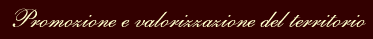 Promozione e valorizzazione del territorio